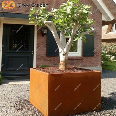 Moderni Corten Steel Plant -ruukkuun puutarhakoristeelle